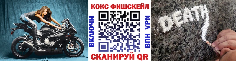 купить закладку  Печоры  КОКАИН Эквадор 